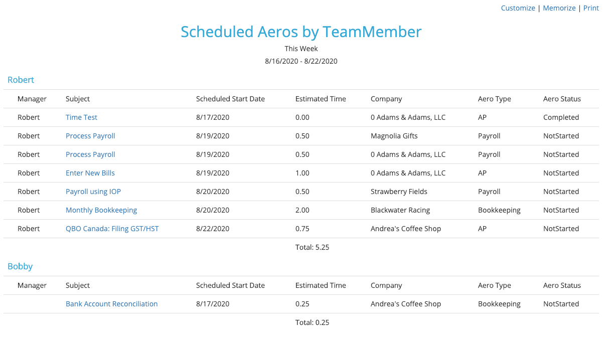 Scheduled_Aeros_by_Team_Member_Report_-_Aero_Workflow_V3.png