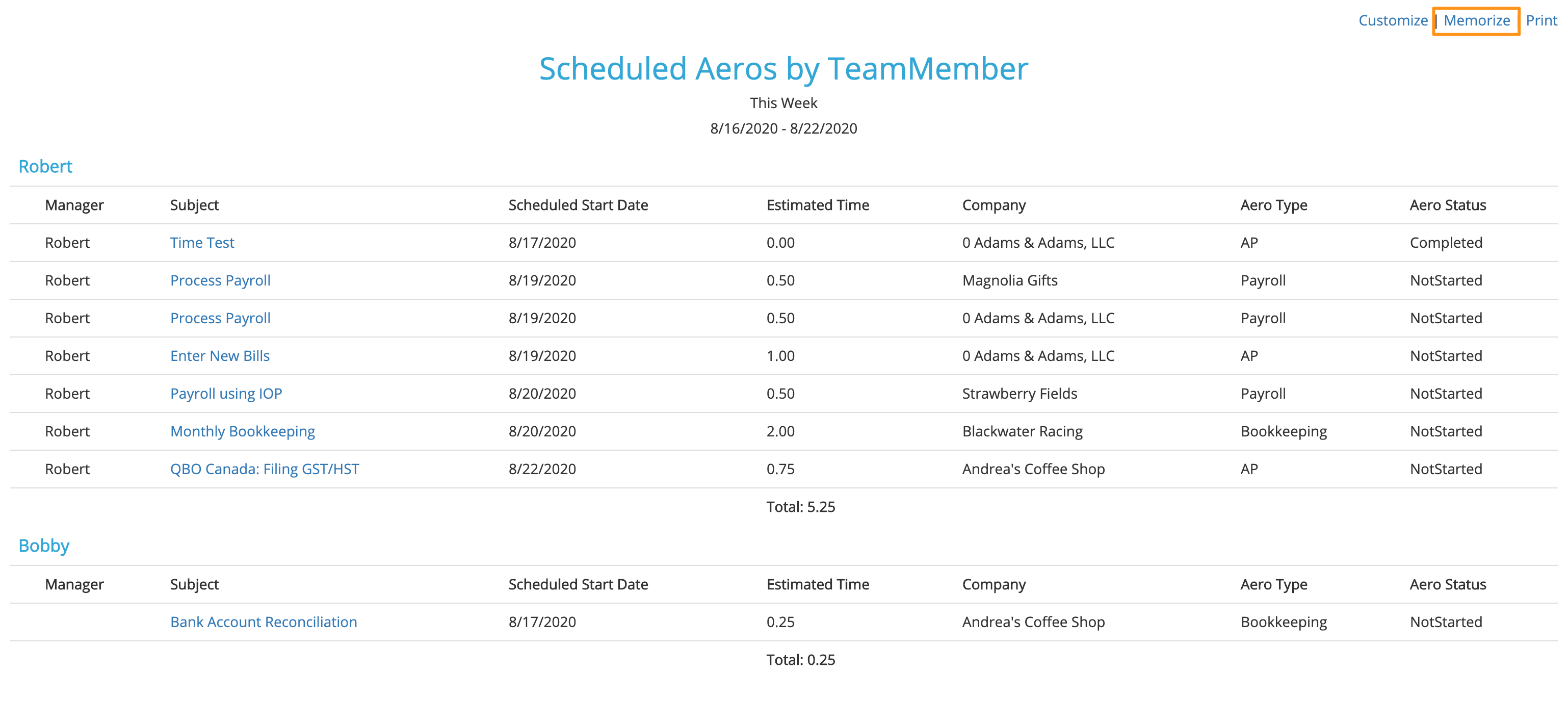 Scheduled_Aeros_by_Team_Member_Report_-_Aero_Workflow_V3.png